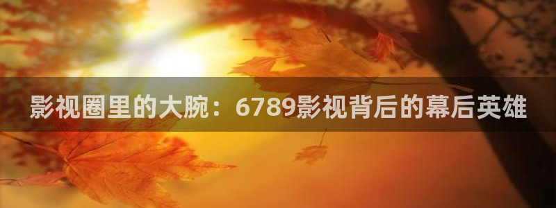 飘零影院免费看电影：影视圈里的大腕：6789影视背后的幕后英雄