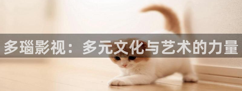 飘零影院不卡：多瑙影视：多元文化与艺术的力量