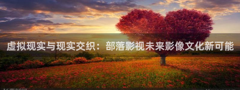 飘零影院伦理片：虚拟现实与现实交织：部落影视未来影像文化新可能