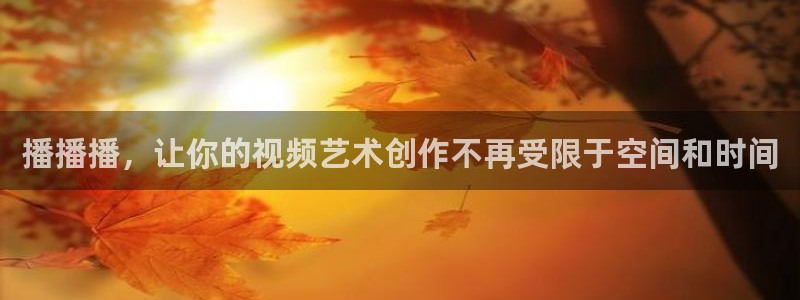新飘零影院：播播播，让你的视频艺术创作不再受限于空间和时间