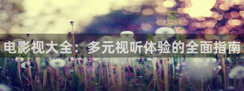 飘零影院电视剧：电影视大全：多元视听体验的全面指南