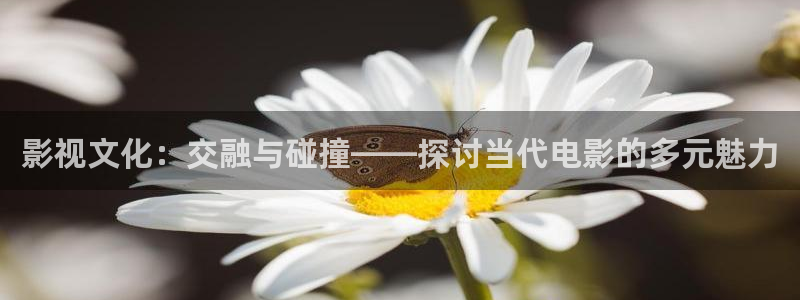 新视觉飘零影院：影视文化：交融与碰撞——探讨当代电影的多元魅力