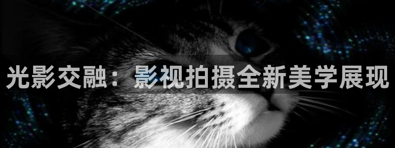 飘零影院：光影交融：影视拍摄全新美学展现